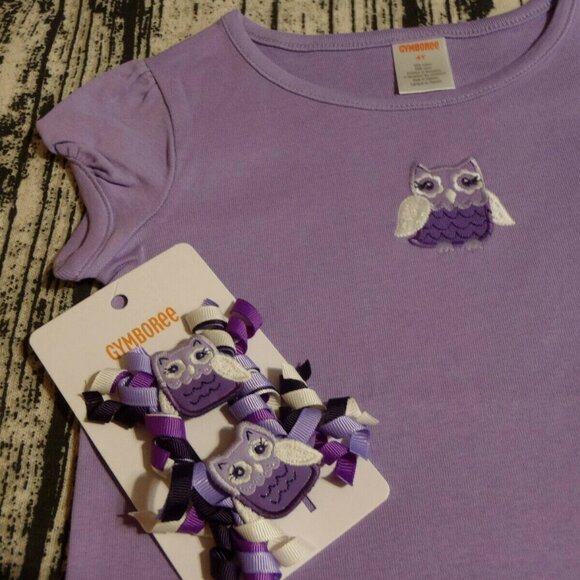 Gymboree Whooo's Cute 4T Leggings Owl Shirt Hair Curly Clips Outfit NWT - Picture 2 of 3